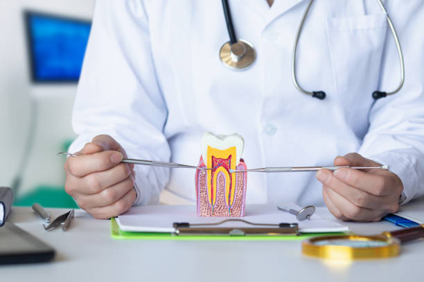Best Pediatric Emergency Dentist in Lexington Hills, CA